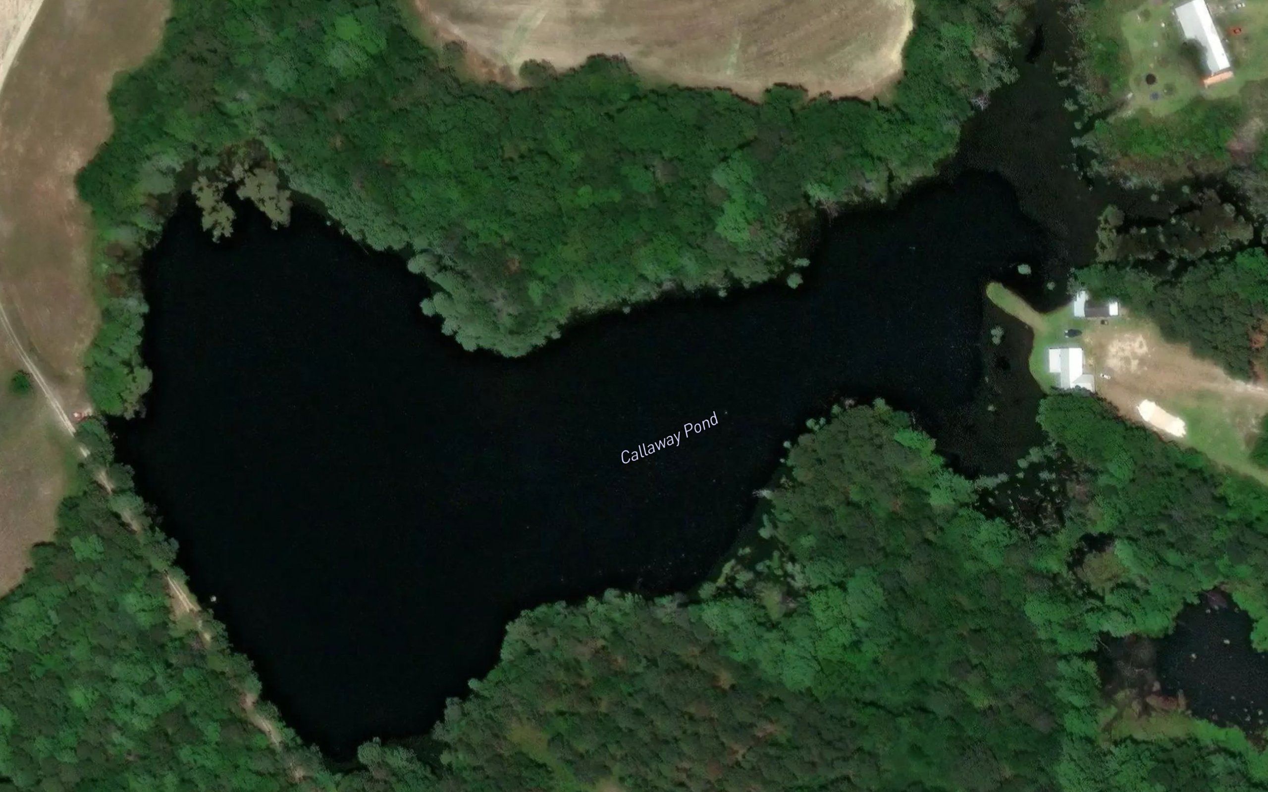 Callaway Pond