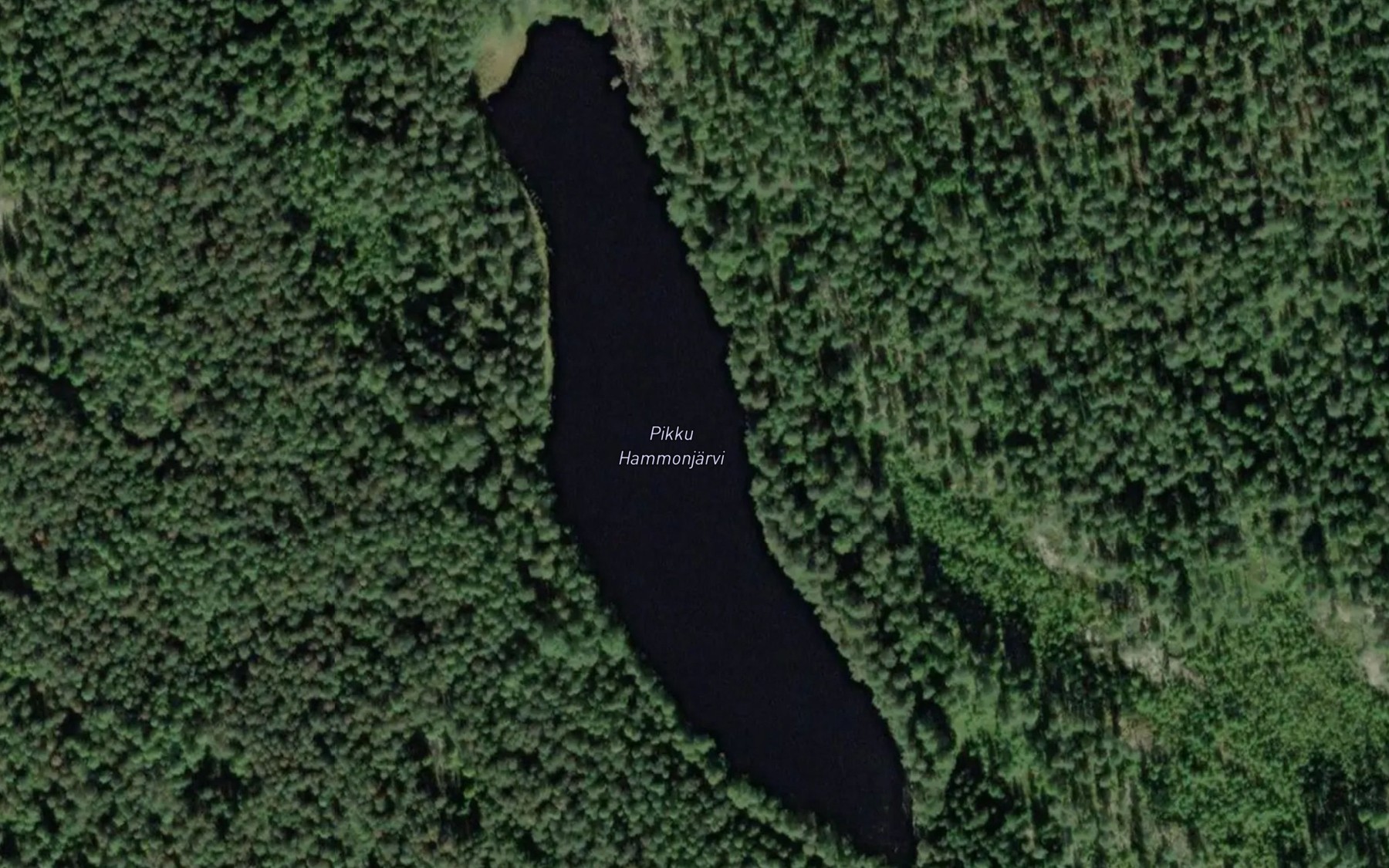 Satellite map of the Pikku Hammonjarvi