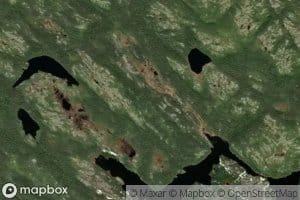 Etang Deer