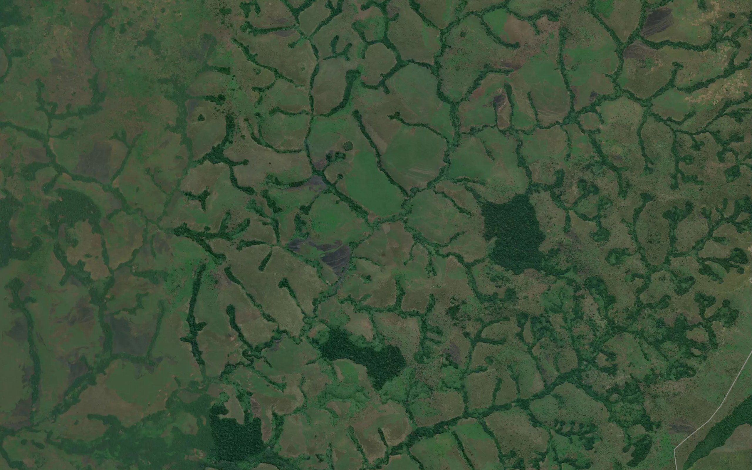 Mudiwa