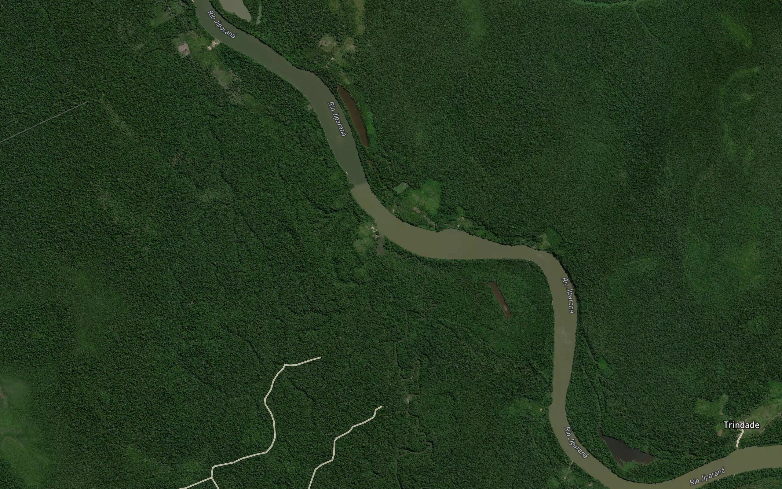 Rio Jurua