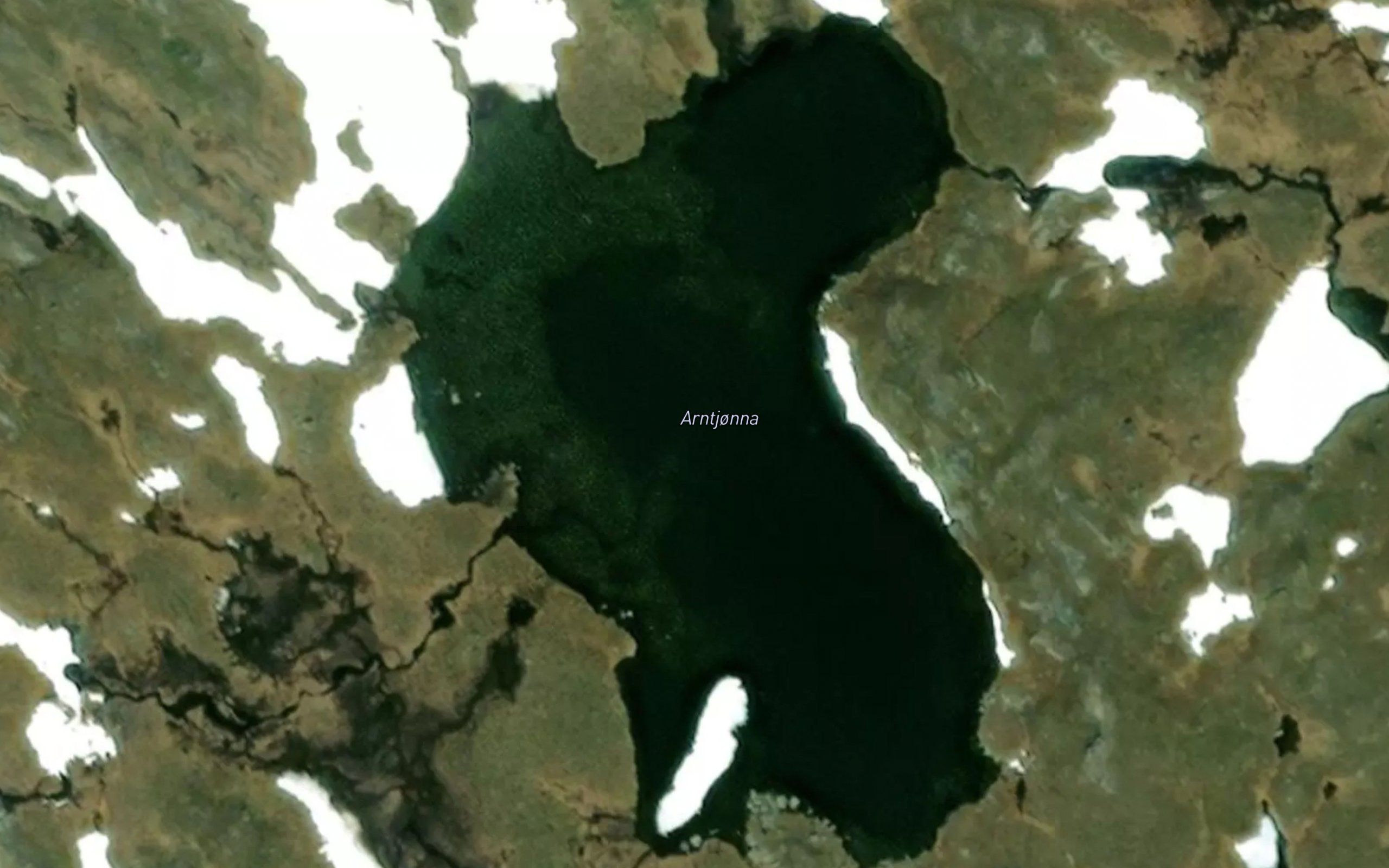 Arntetjorna