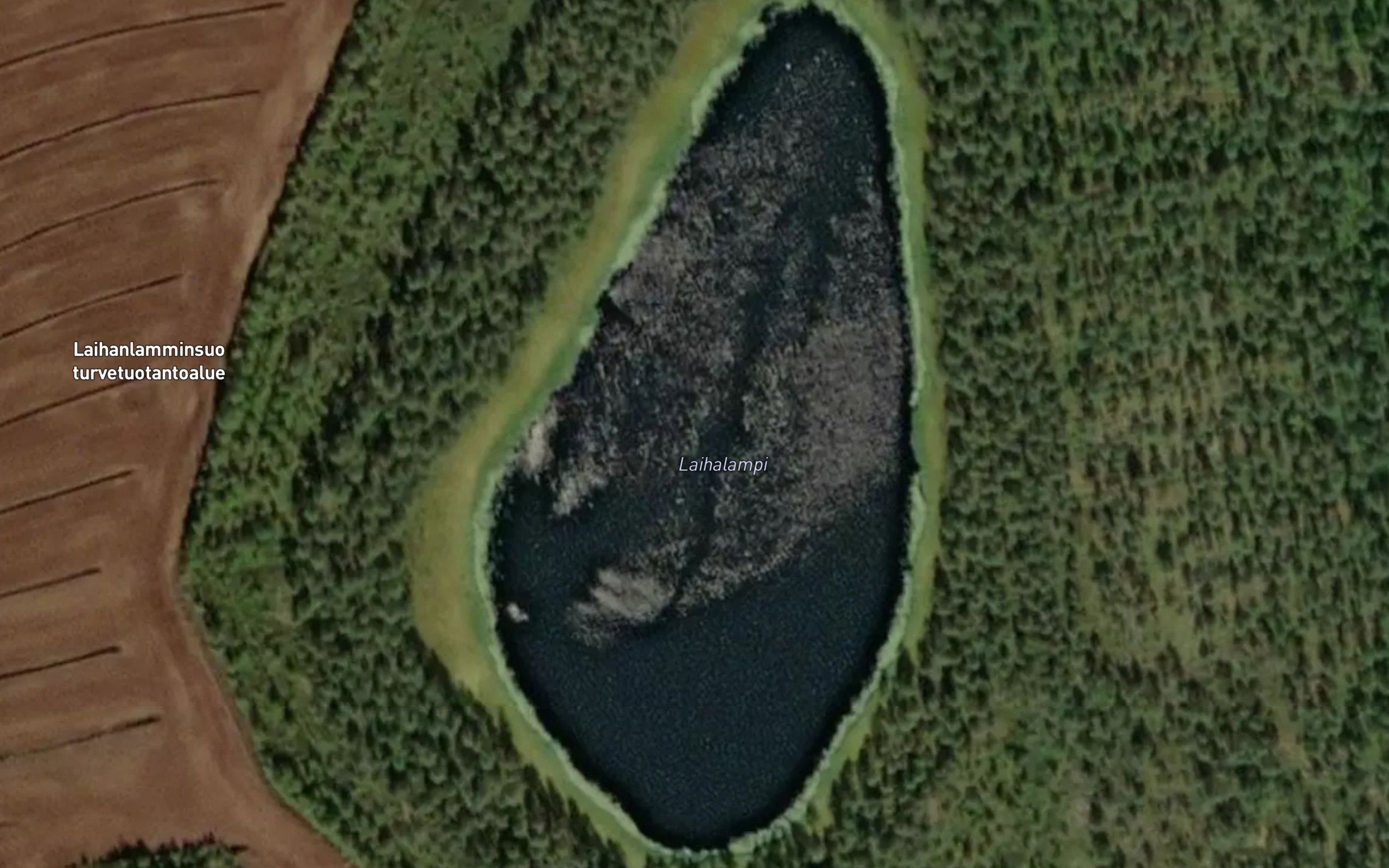 Laihalampi