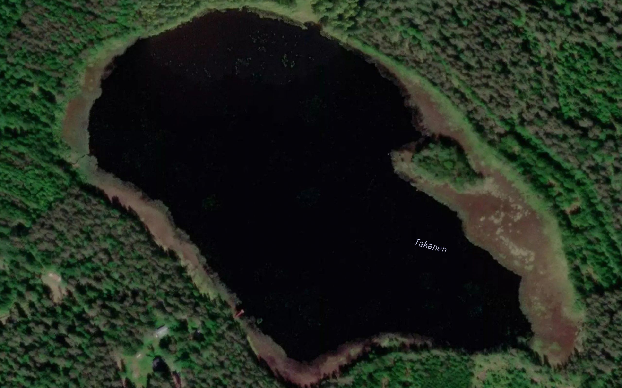 Takanen