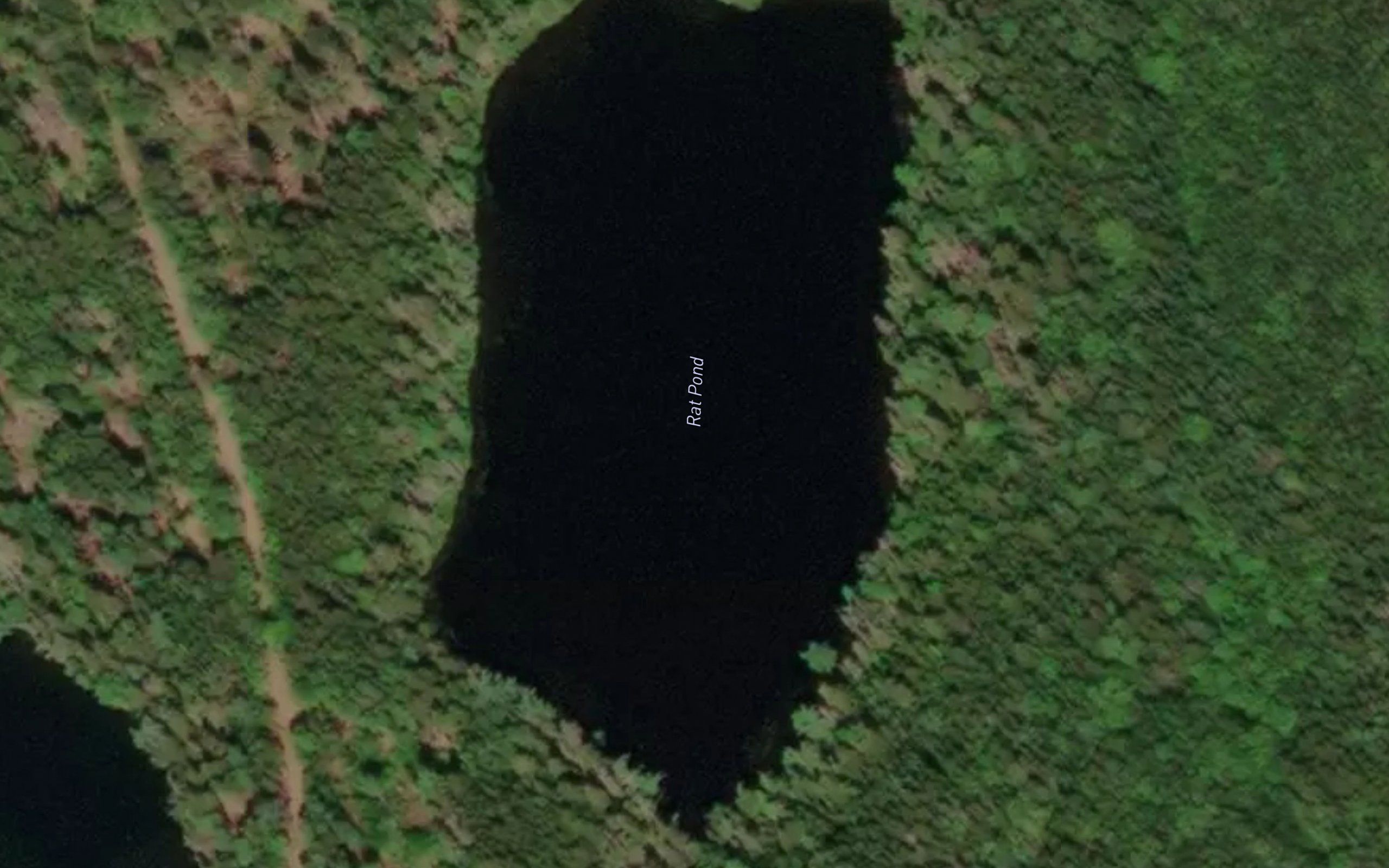 Rat Pond