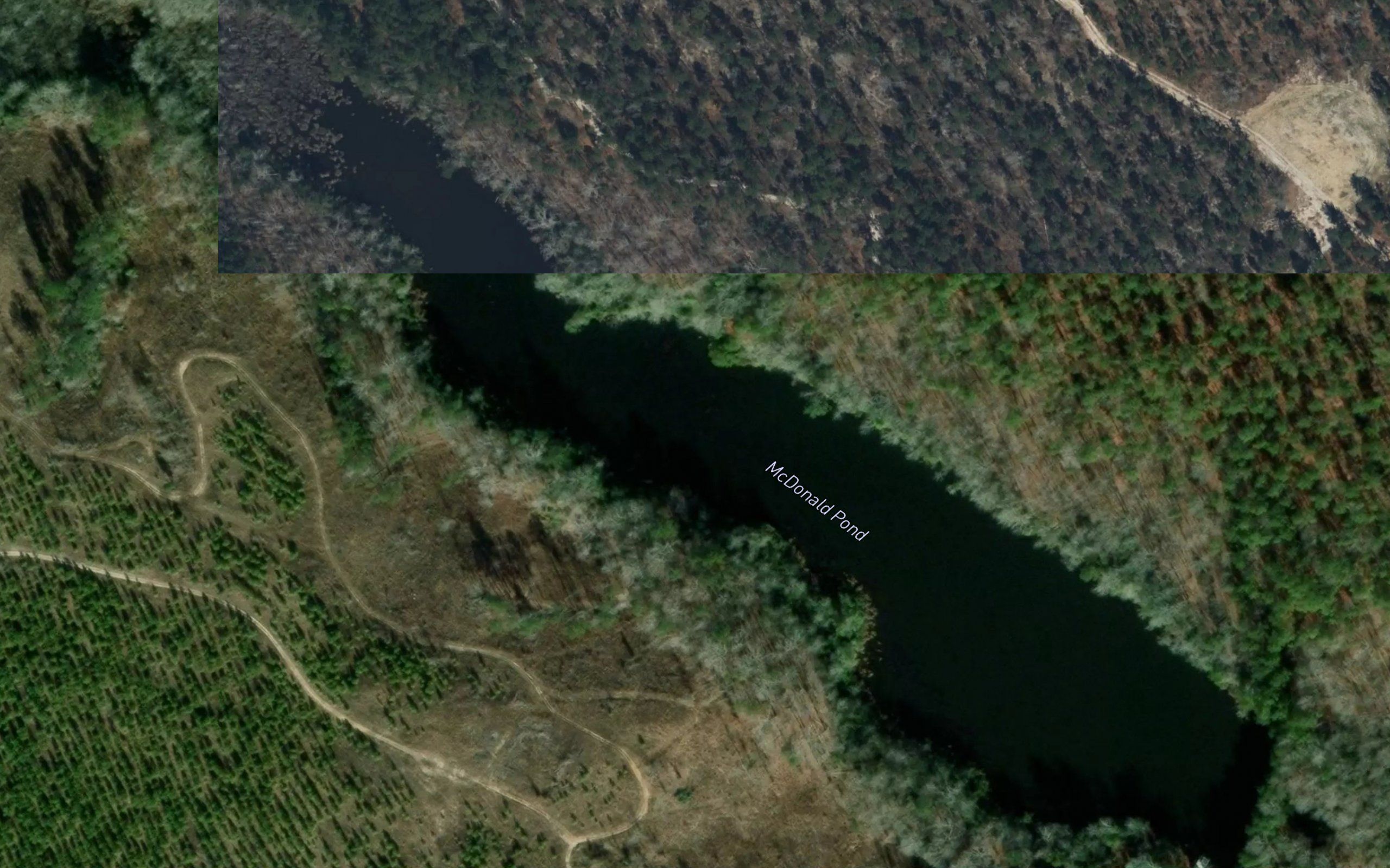 McDonald Pond