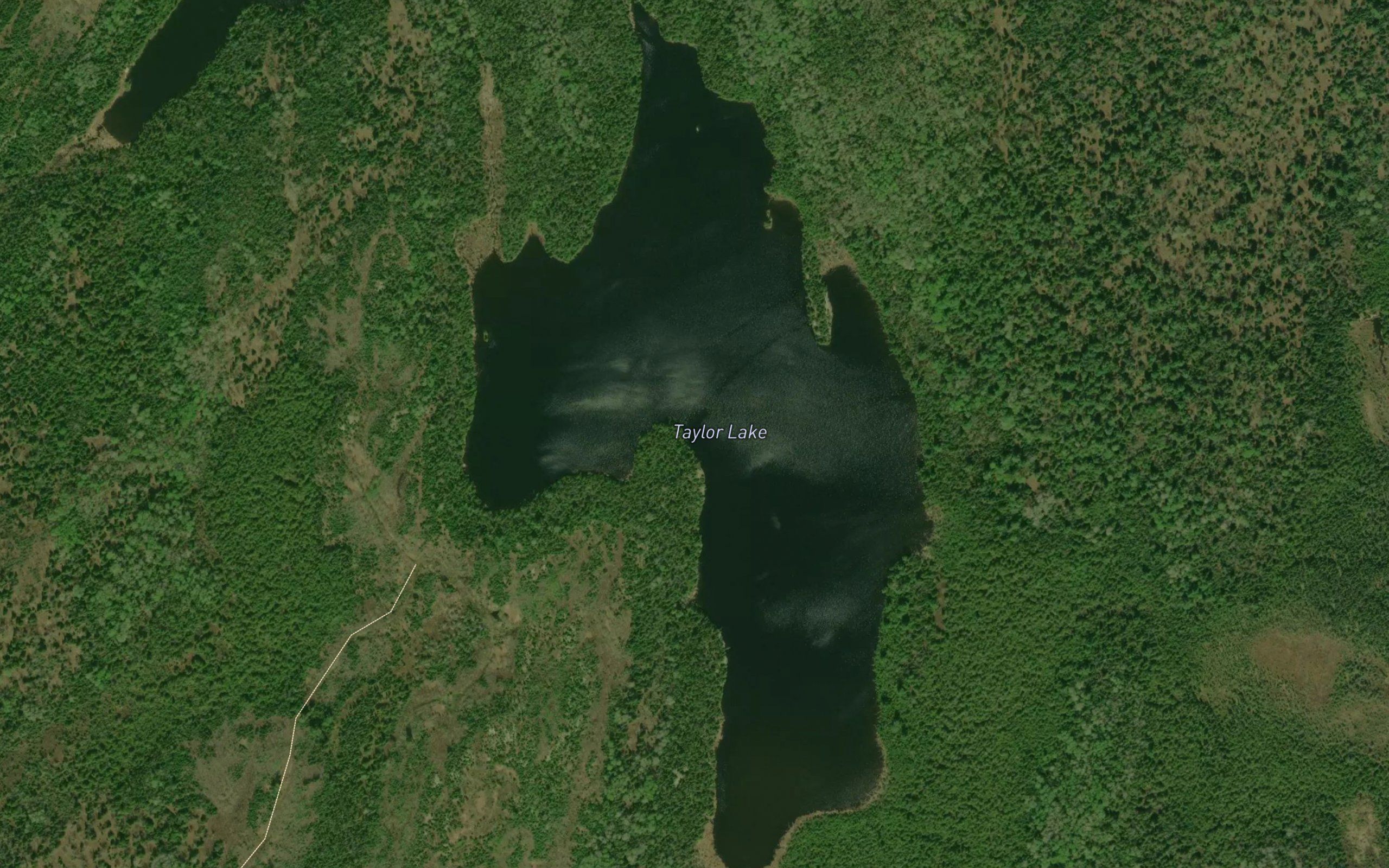 Taylor Lake