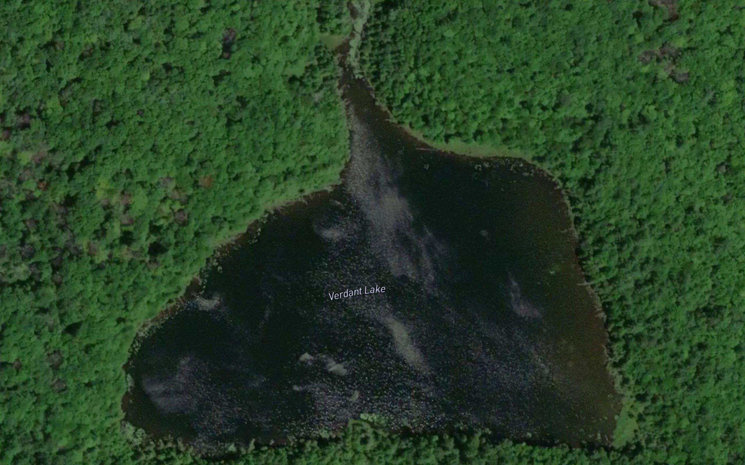 Verdant Lake