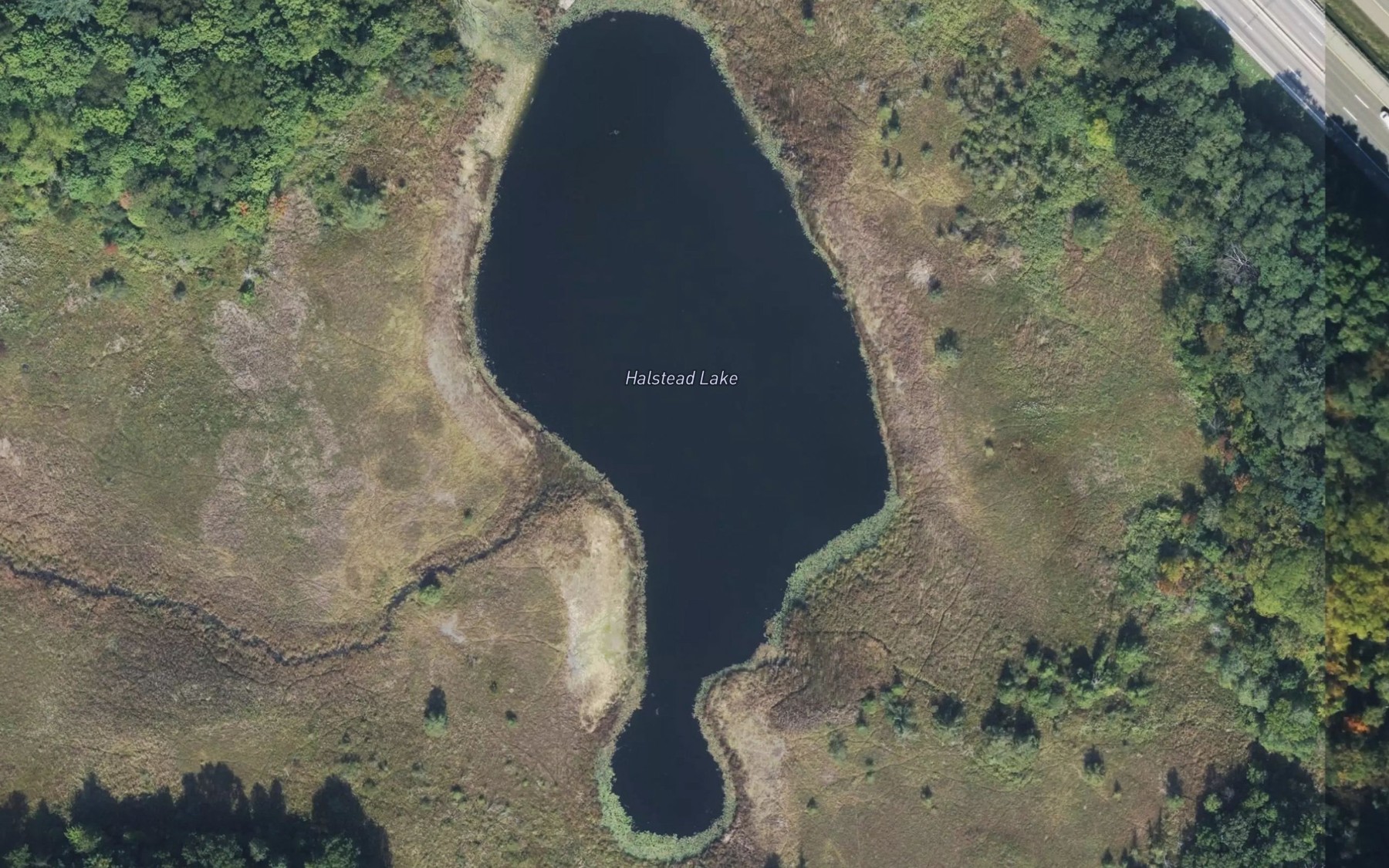 Satellite map of the Halstead Lake