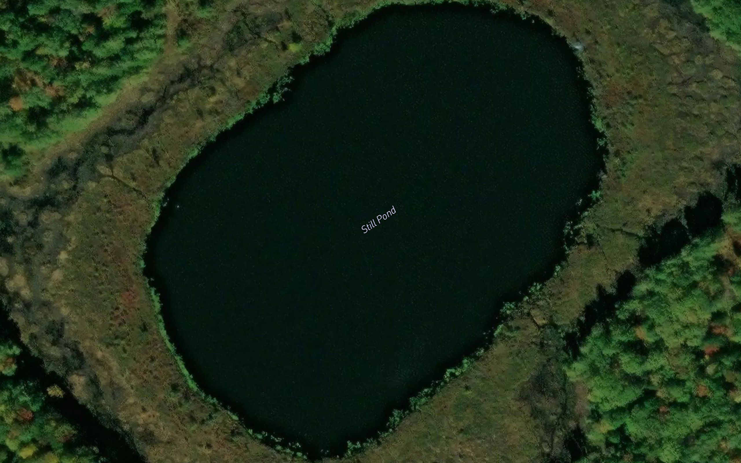 Still Pond
