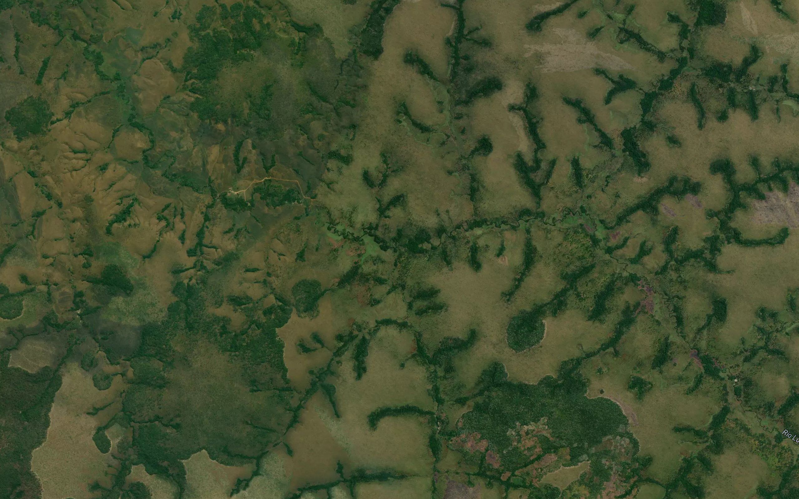 Catarica