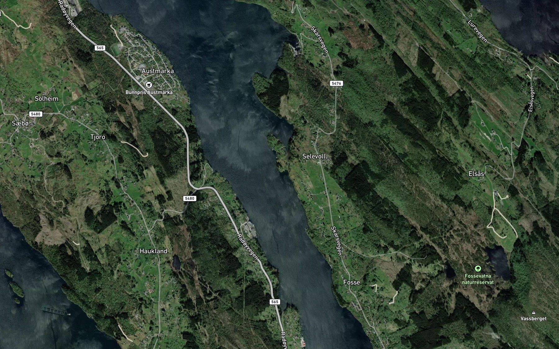 Satellite map of the Torsviki