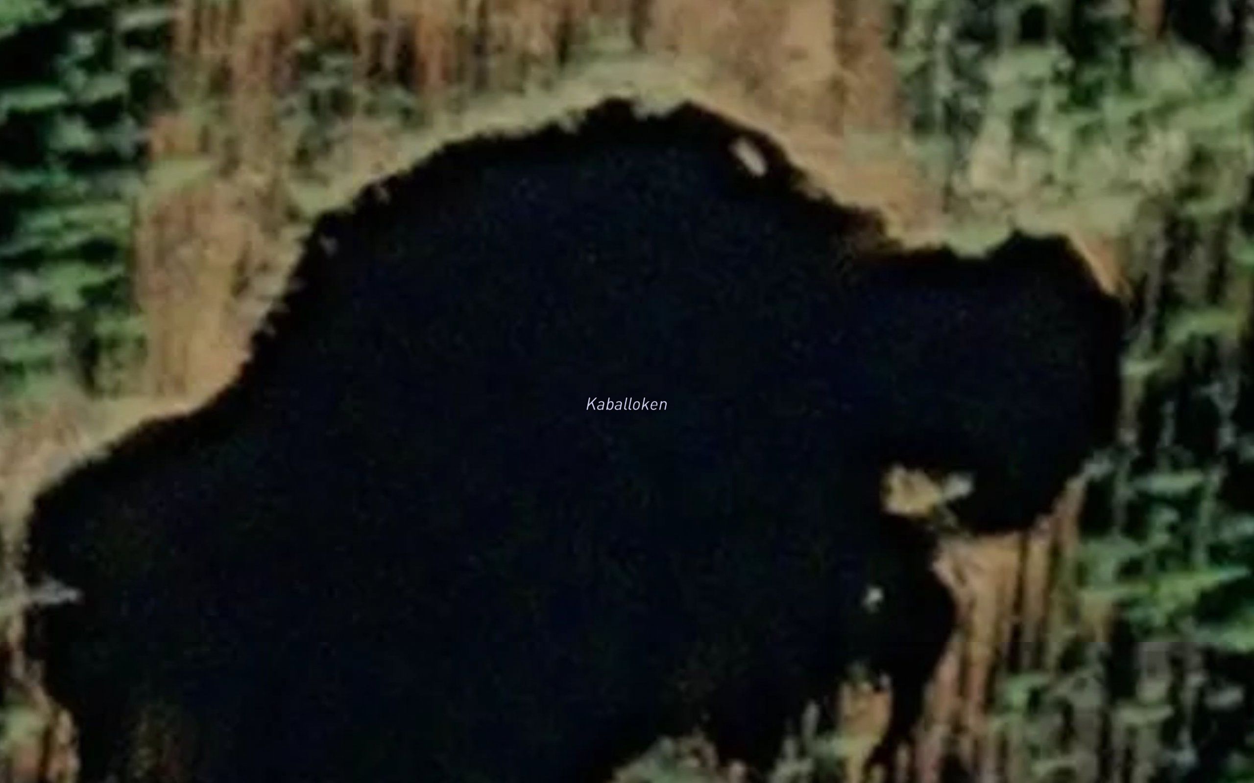 Kobbaloken