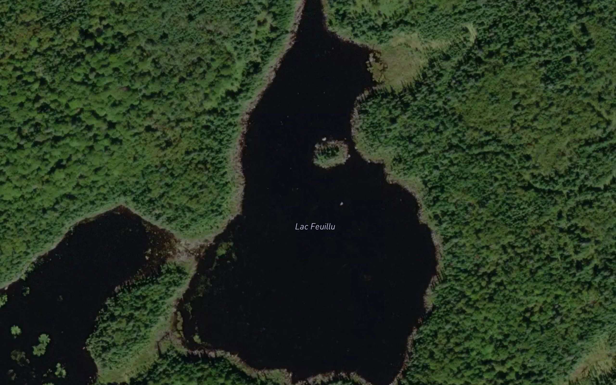 Lac Feuillu