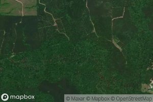 Satellite map of the Calf Branch