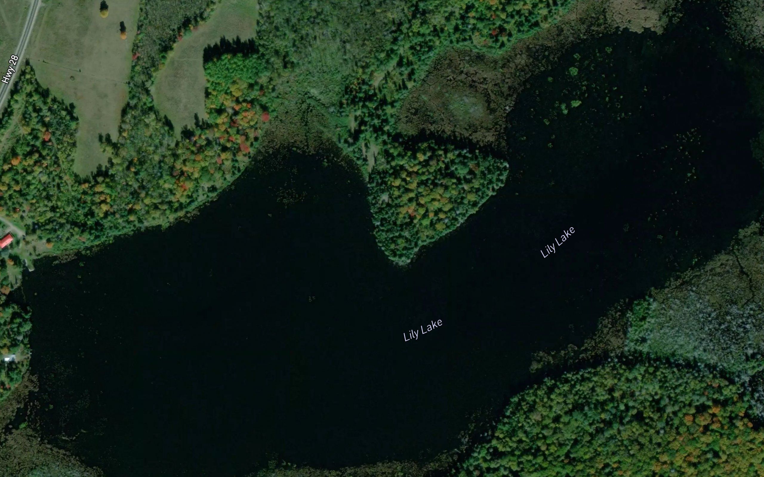 Lily Lake