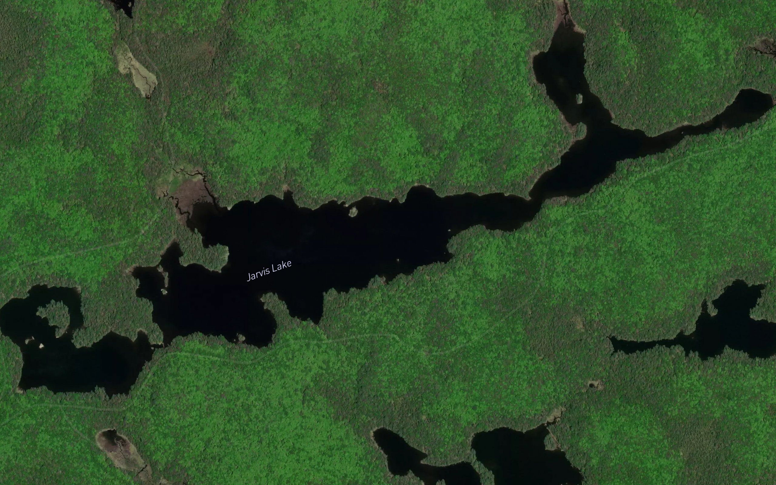 Jarvis Lake
