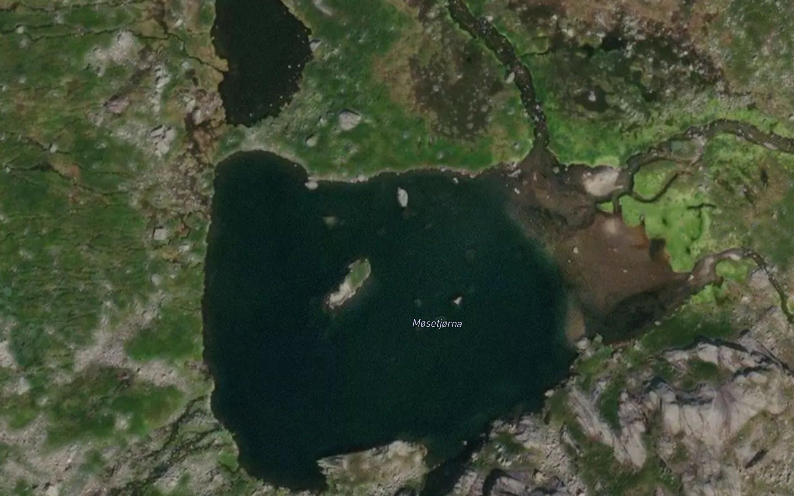 Mosetjorna