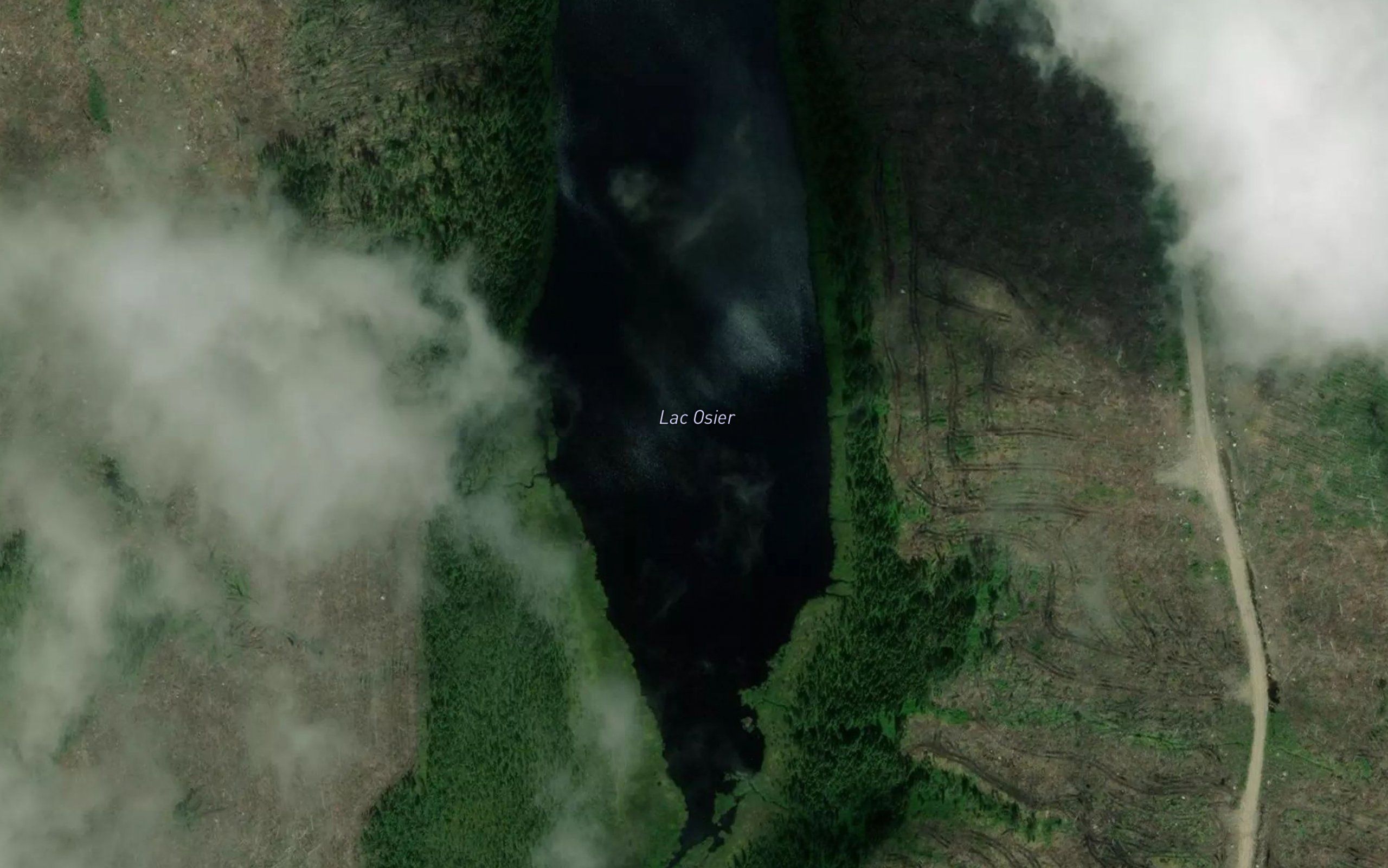 Lac Osier