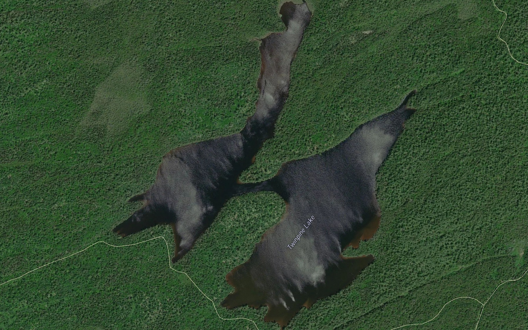 Satellite map of the Twinpine Lake