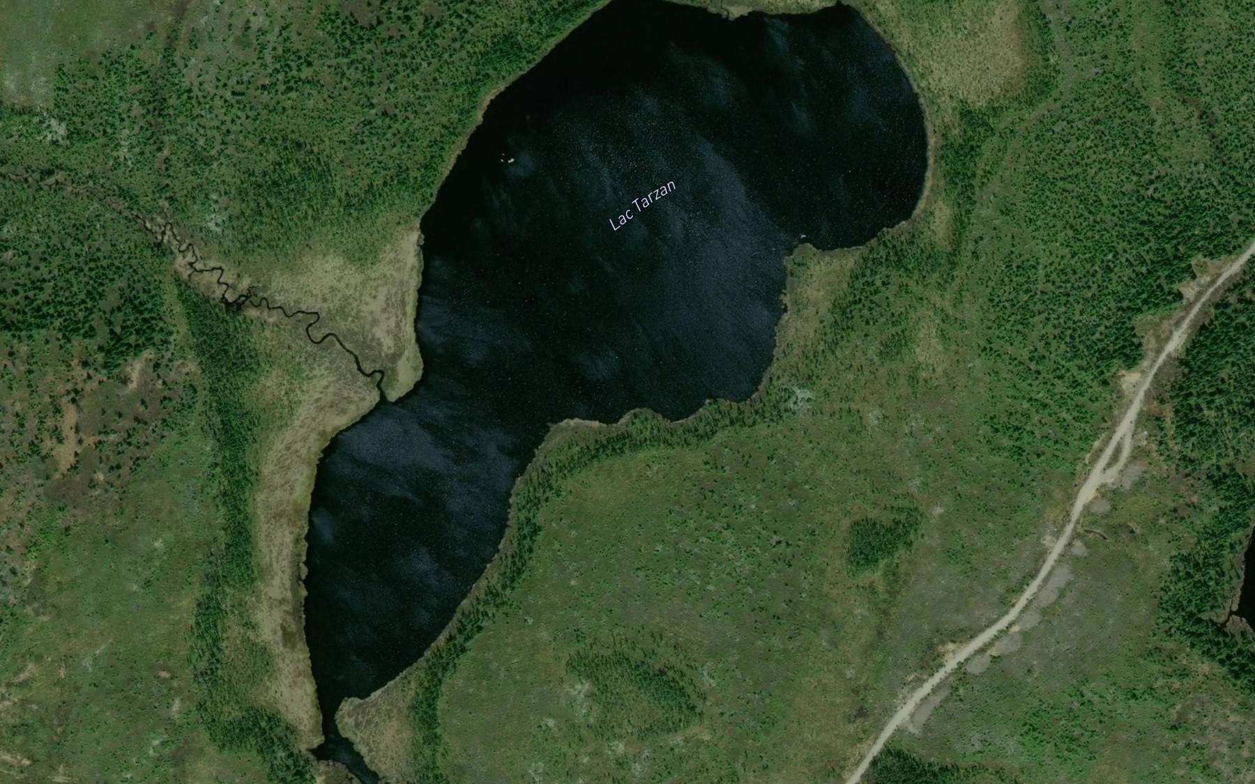 Satellite map of the Lac Tarzan