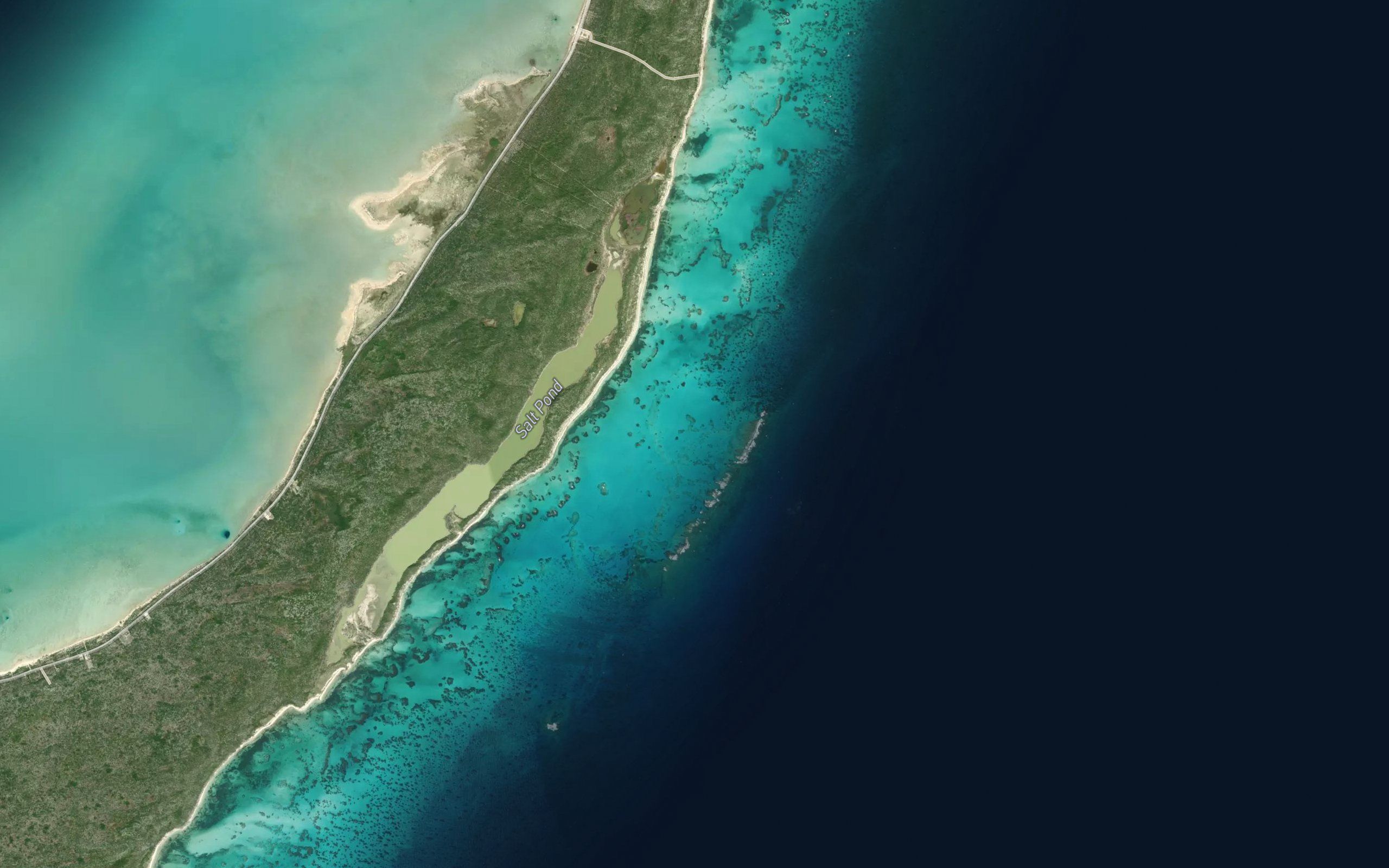 Salt Pond