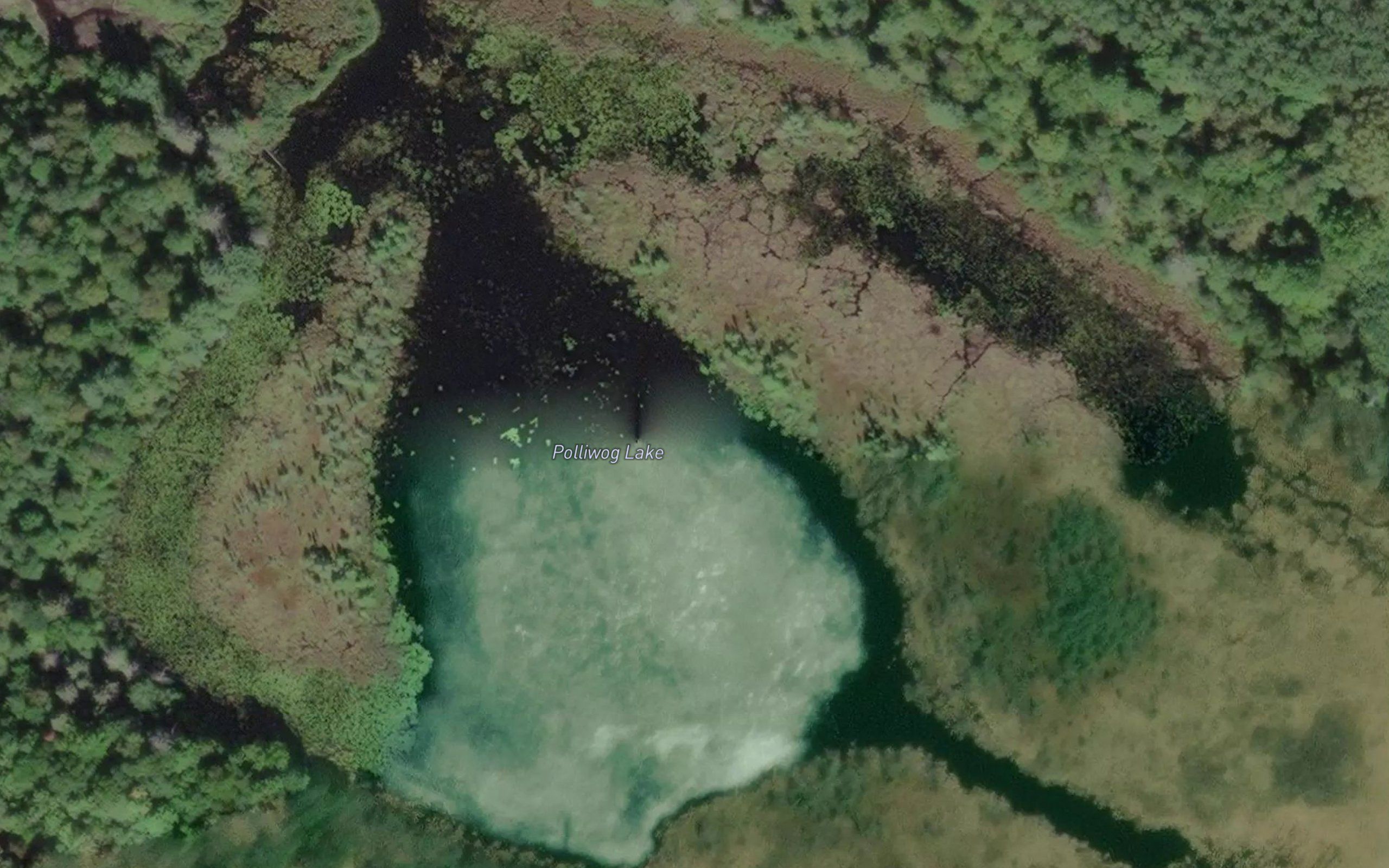 Polliwog Lake