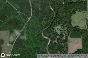 Merritt Springs Branch