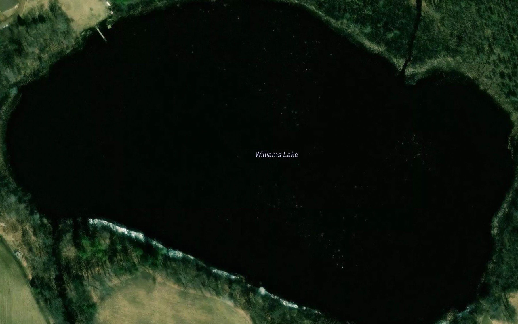 Satellite map of the Williams Lake