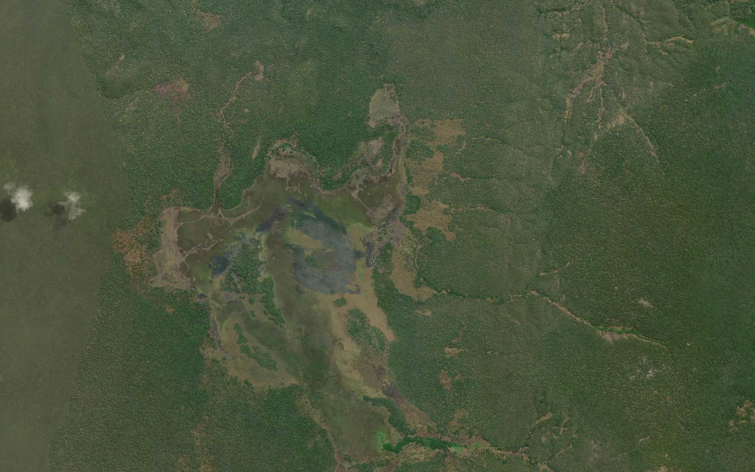 Kaswa