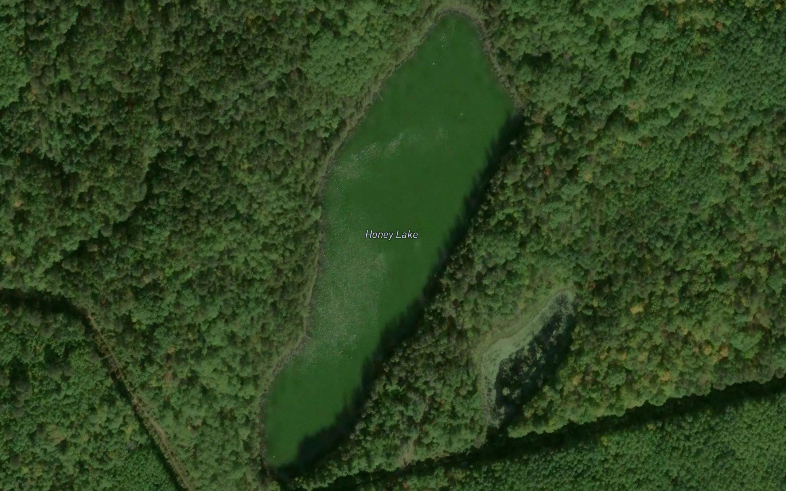Honey Lake