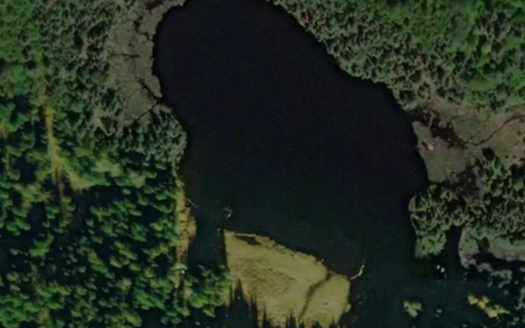 Satellite map of the Lac du Roselin Pourpre