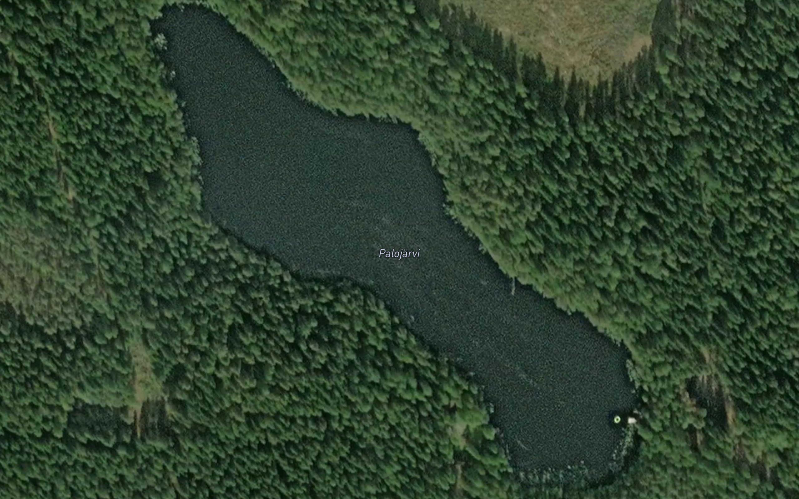 Palojarvi