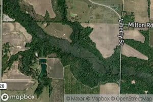 Little Vine Creek