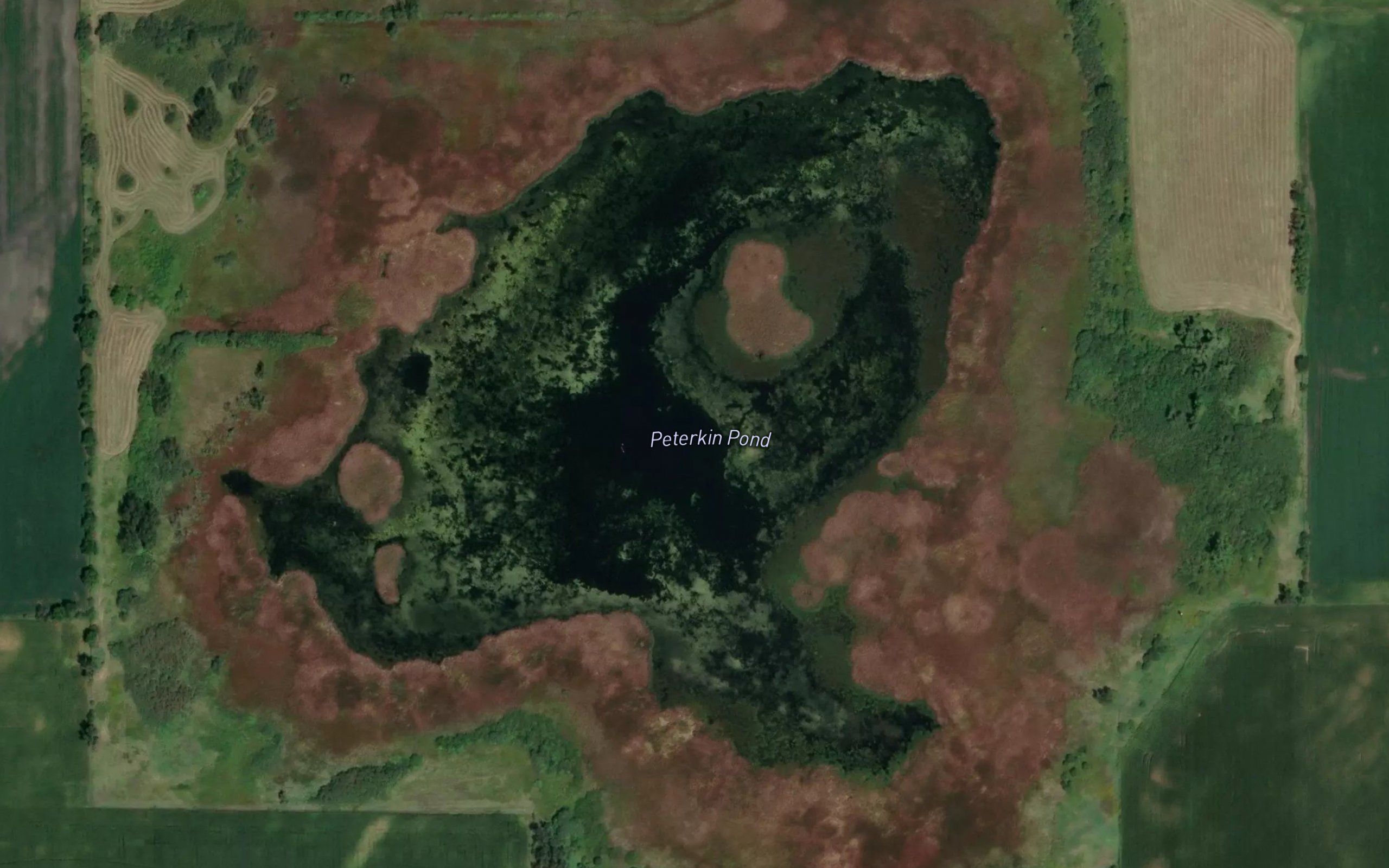 Peterkin Pond