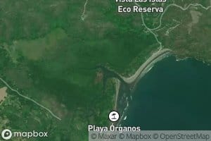 Estero Organos