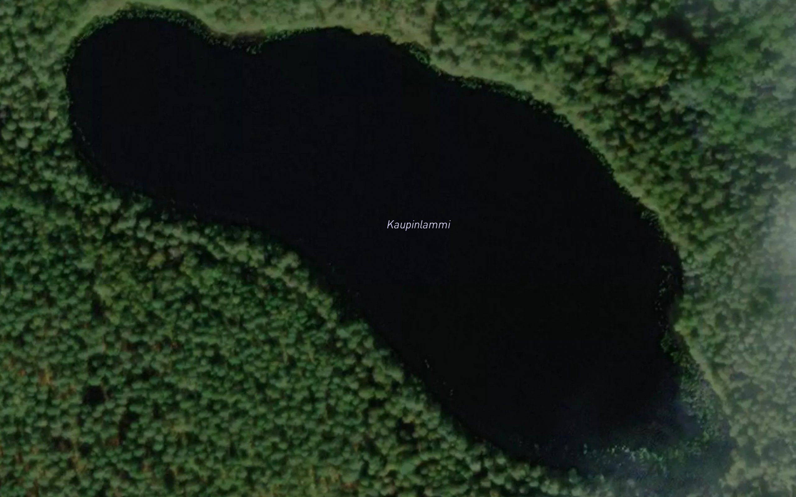 Kaupinlammi