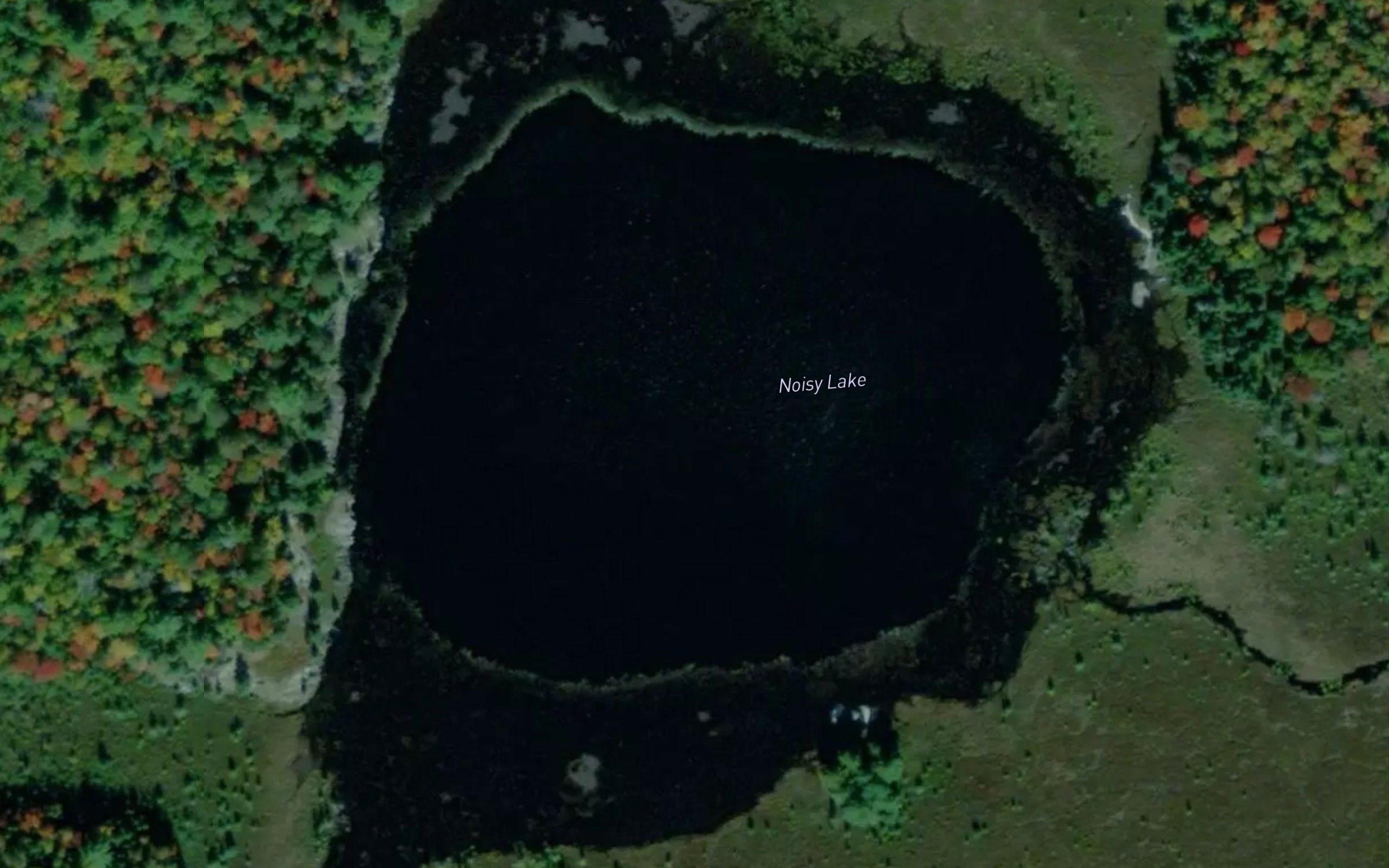 Noisy Lake