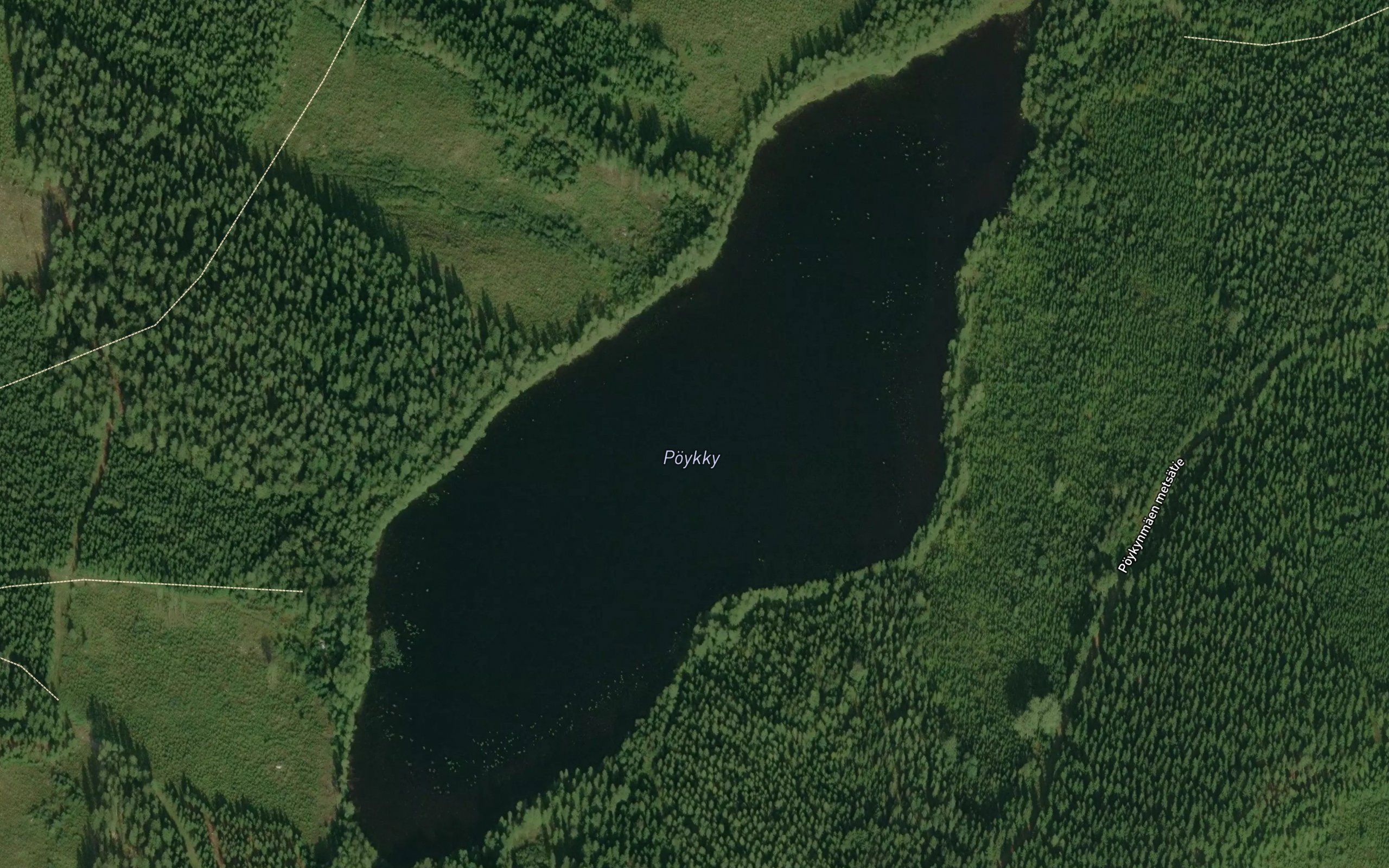Poykky