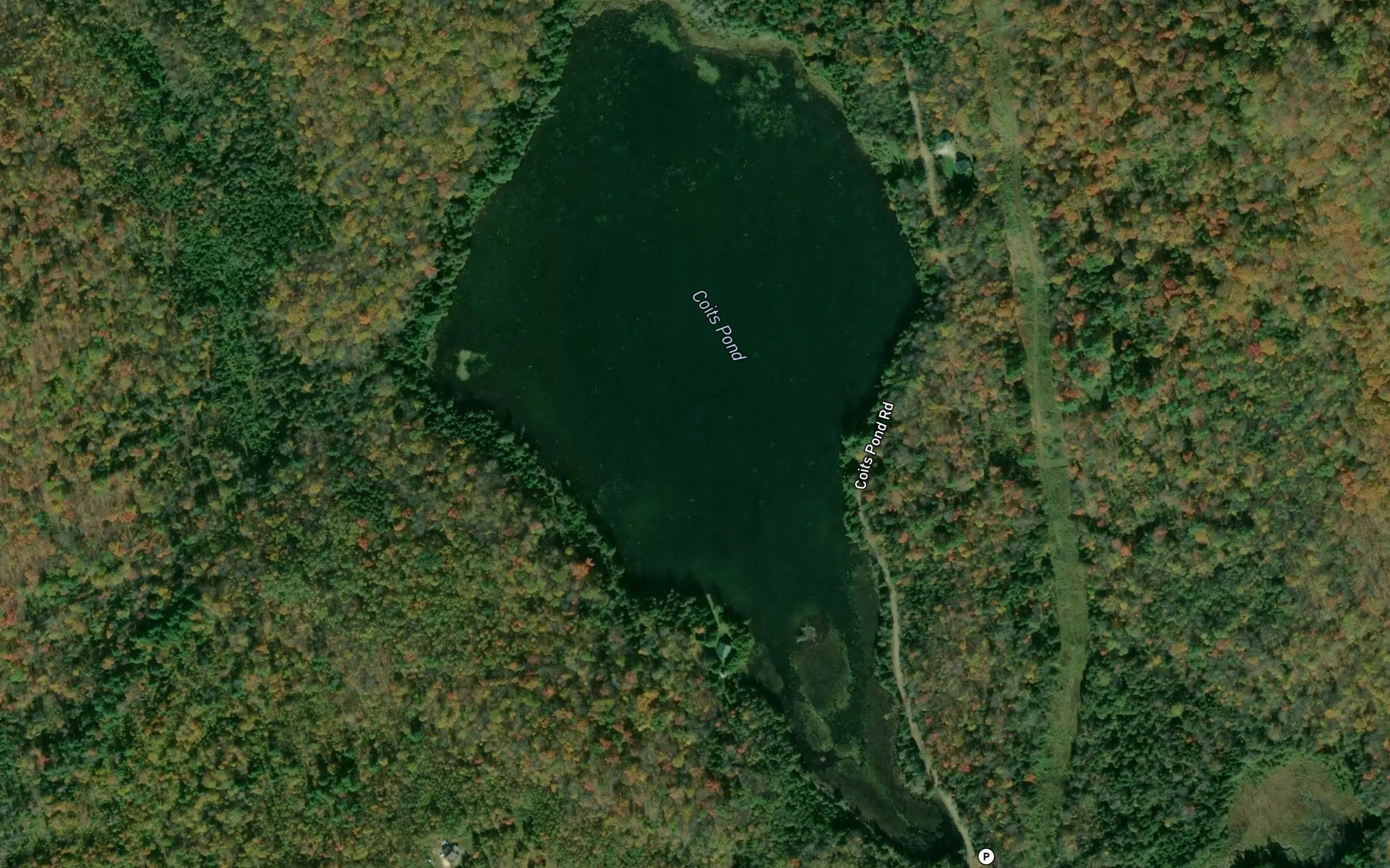 Coits Pond
