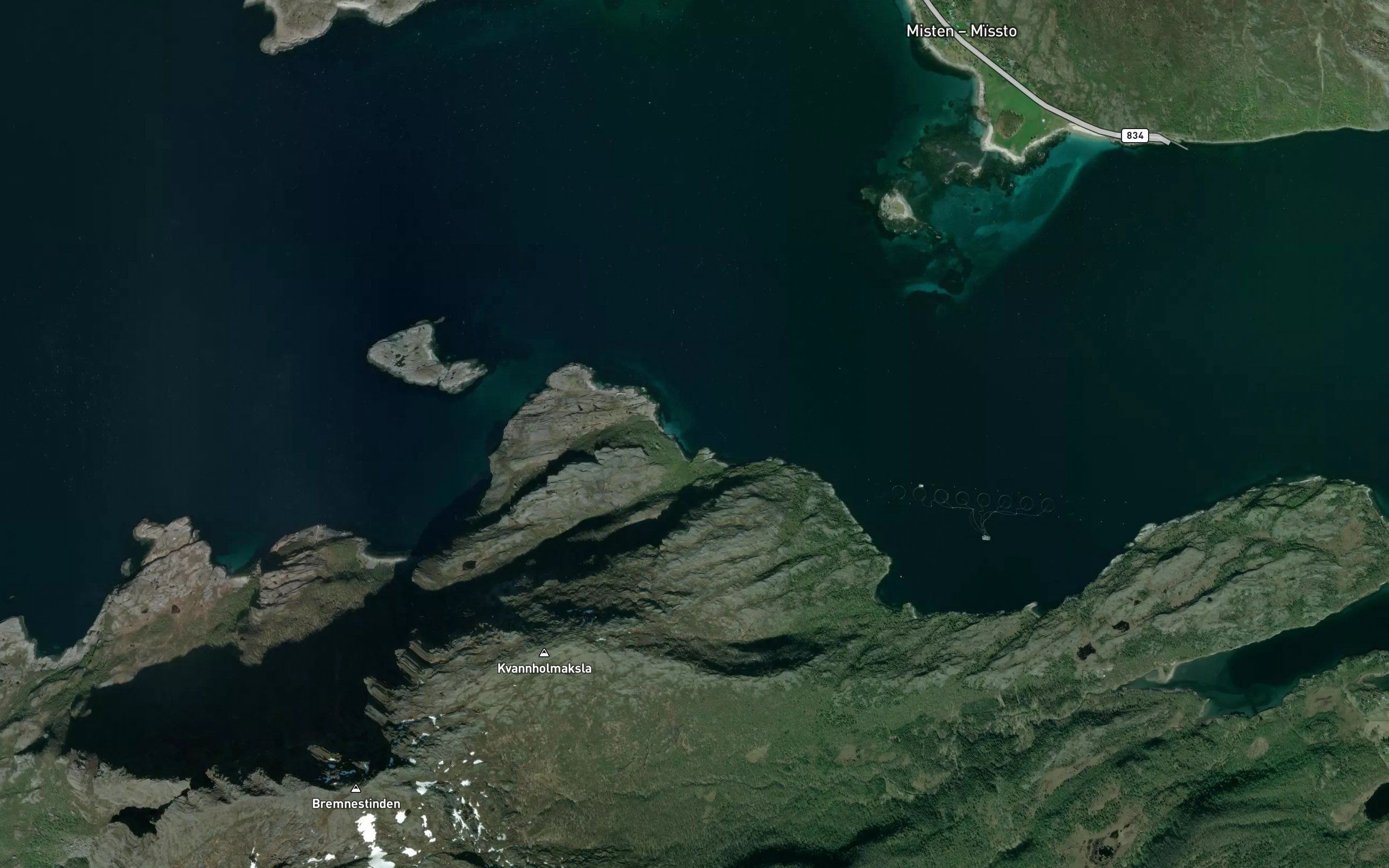 Stussvika