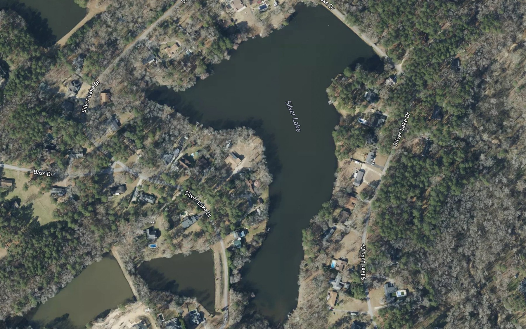 Satellite map of the Silver Lake