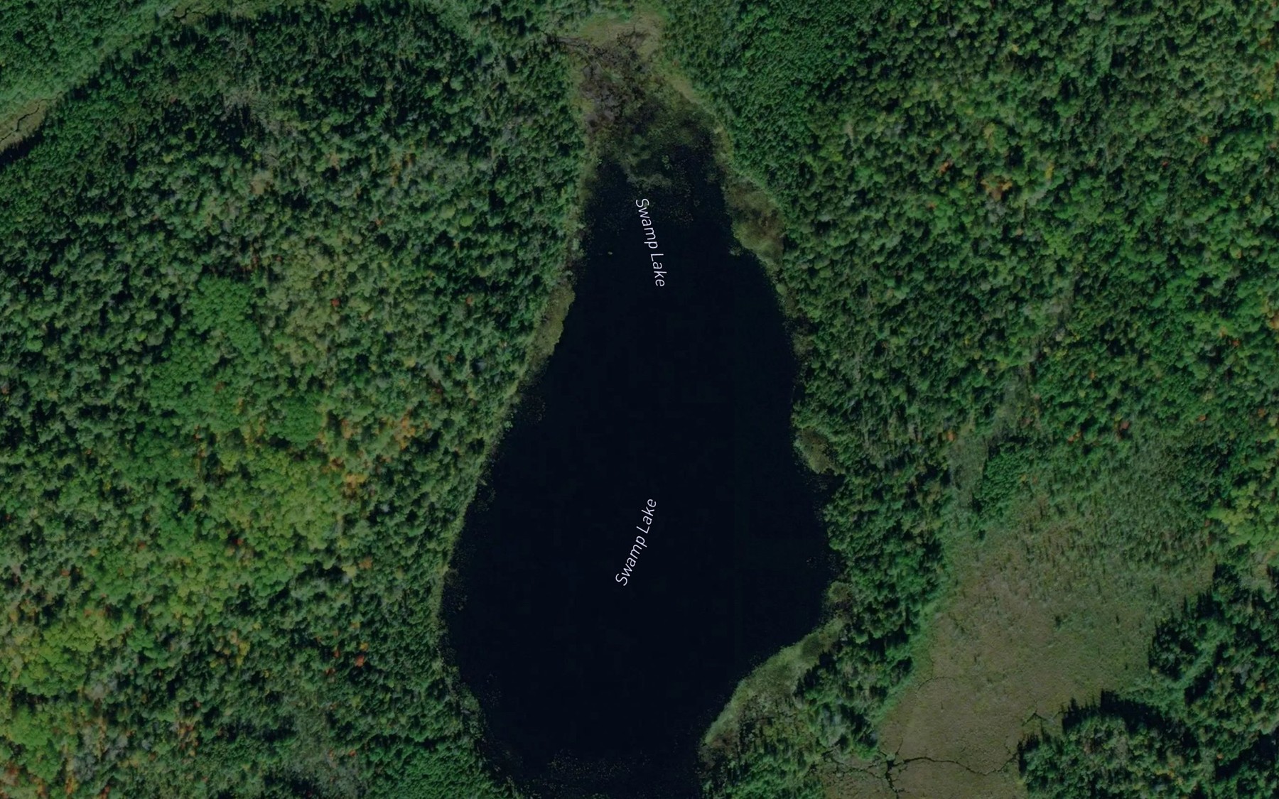 Satellite map of the Swamp Lake
