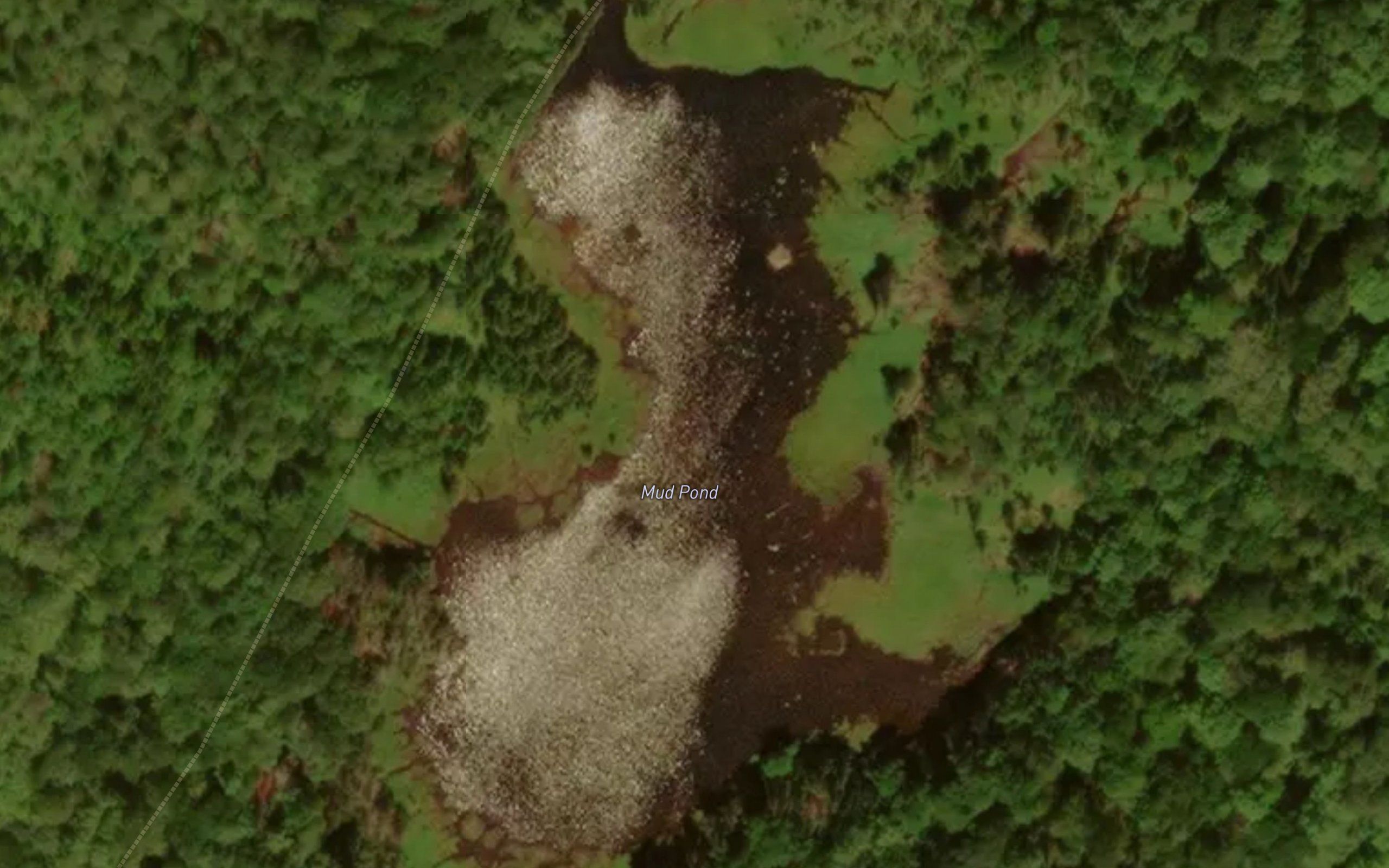 Mud Pond