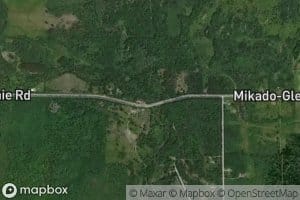 West Branch Pine River