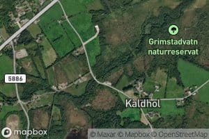 Kaldholelva
