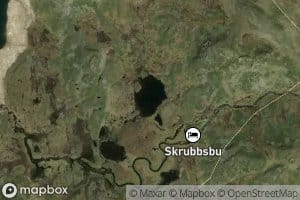 Skrubbslokin