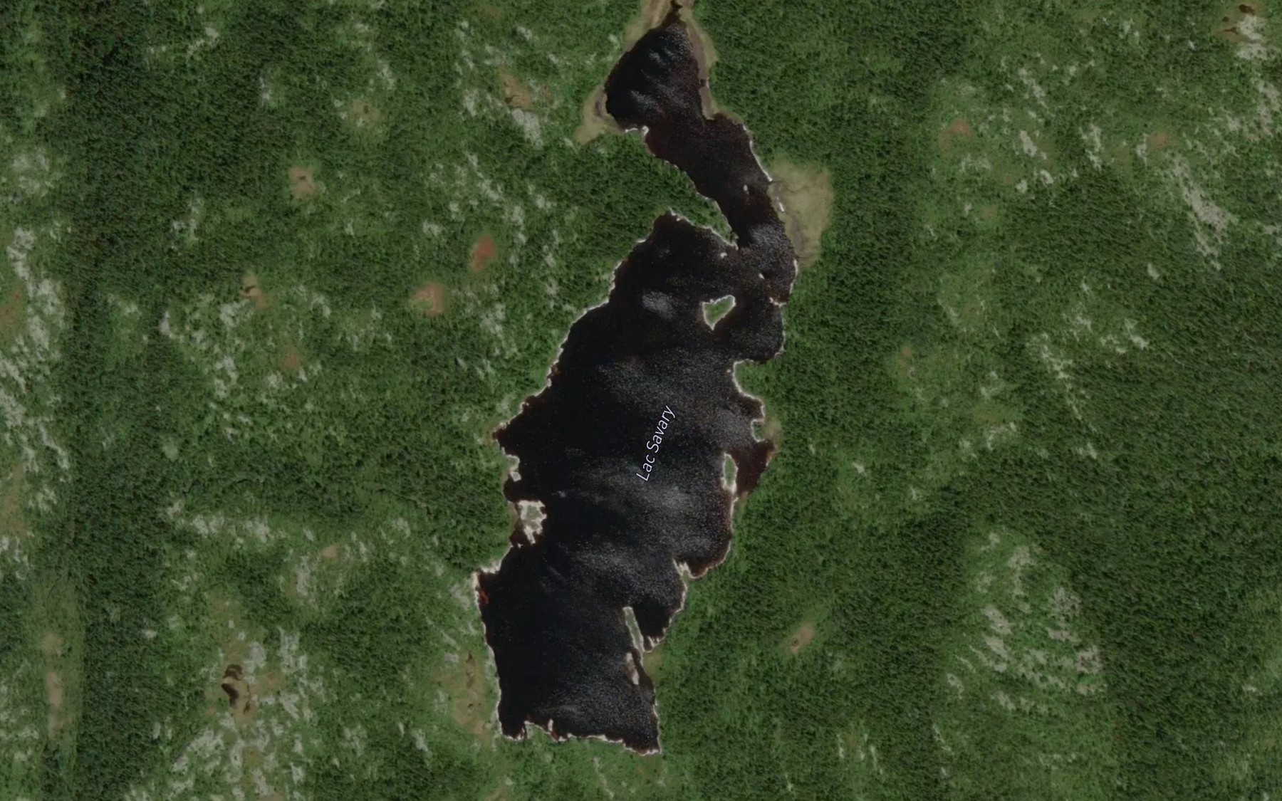 Satellite map of the Lac Savary