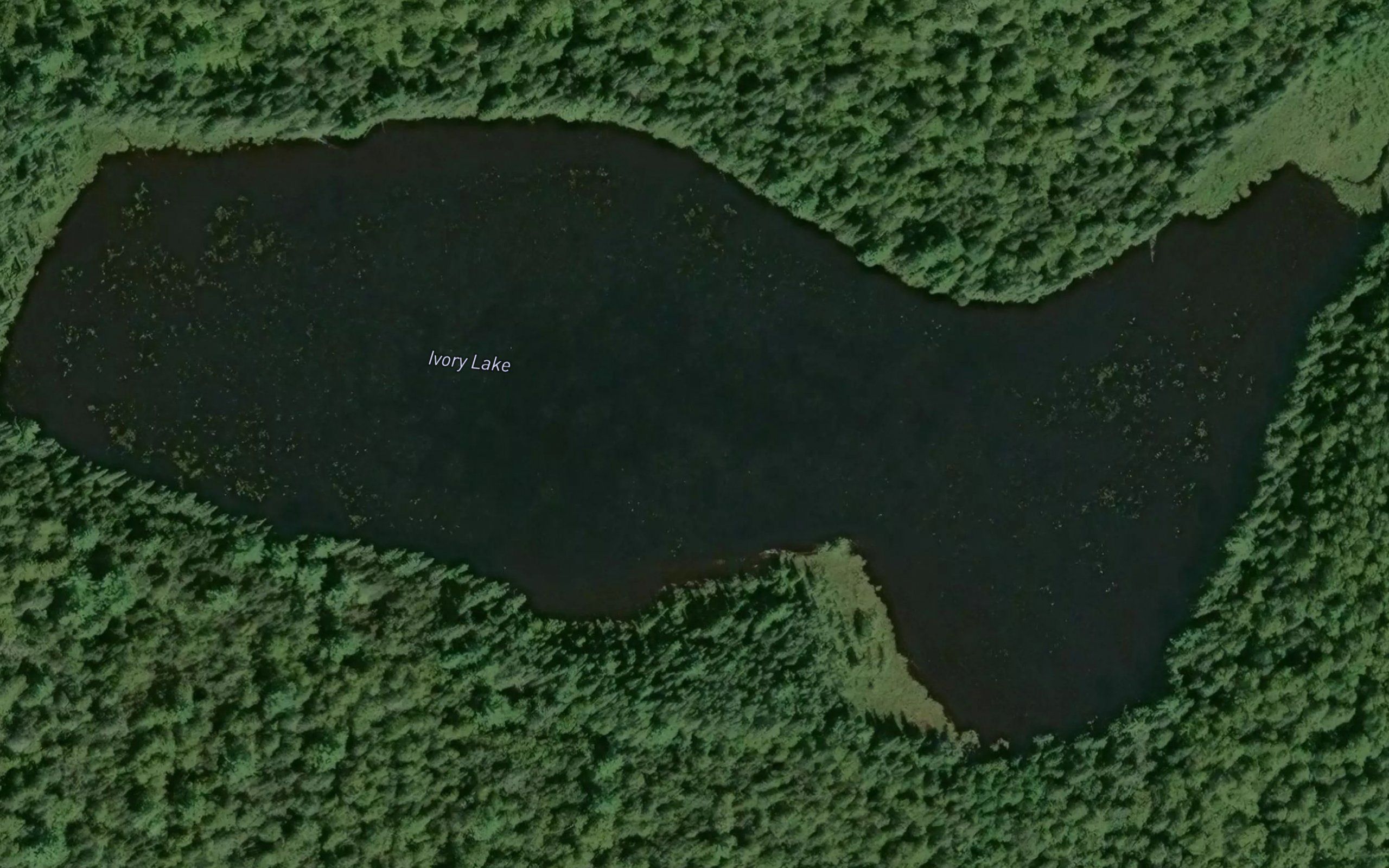 Ivory Lake