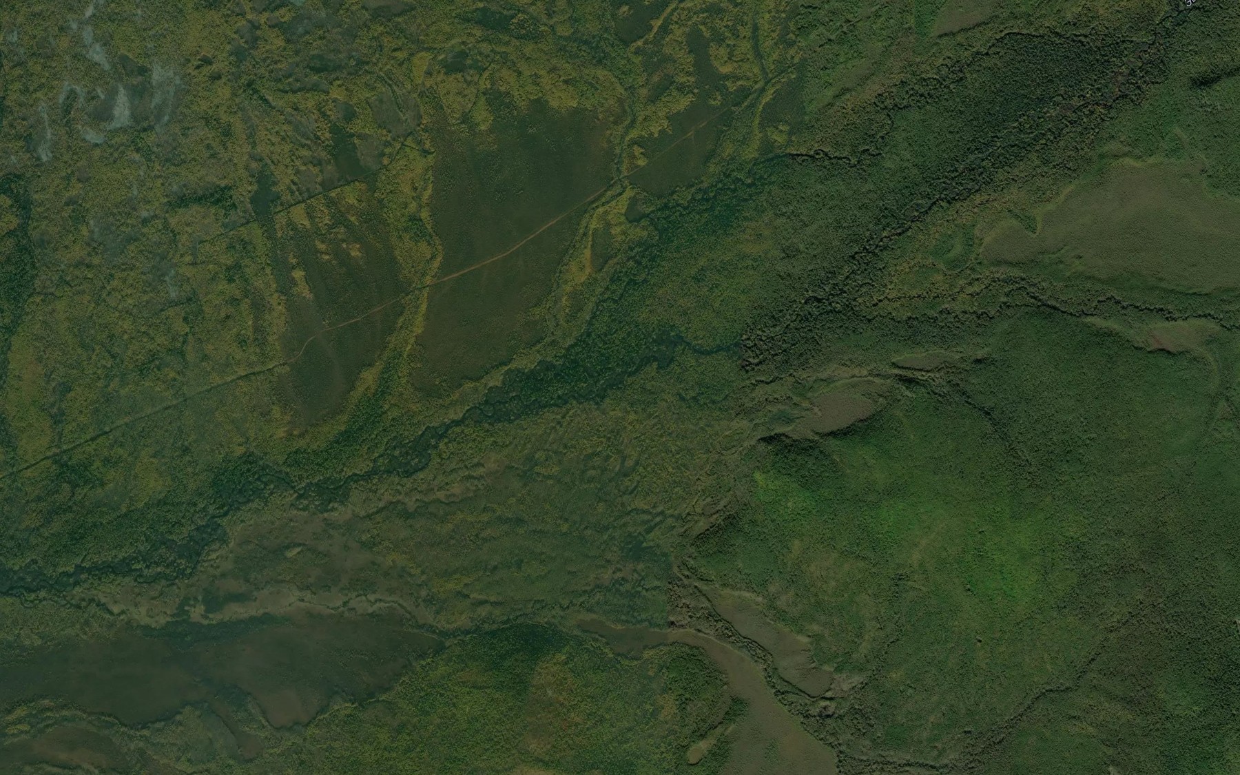 Satellite map of the Dremuchiy